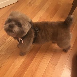 Meet your Posher, Lynn